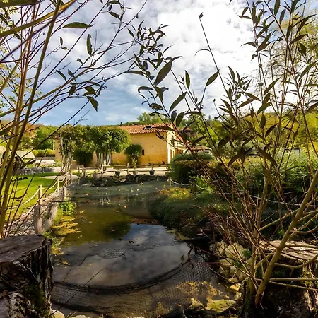 Le Moulin De Mayence Bed & Breakfast Plazac